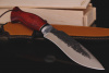 Нож "Акула" 95х18 (эл.ковки), рукоять падук.